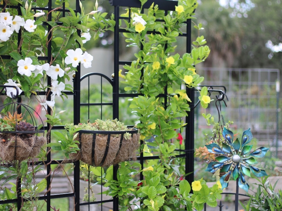 Trellises for Plants